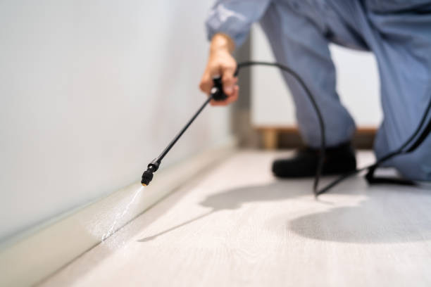 Certified termite inspector examining foundation in Cumings